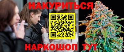 твердый Кингисепп