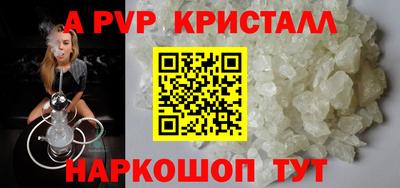 твердый Кингисепп